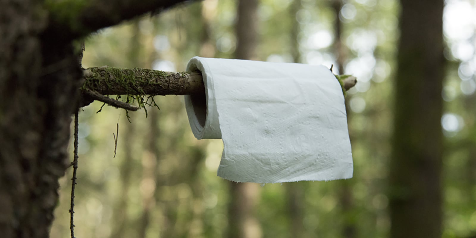 On the trail: What To Do When You Gotta Poo…